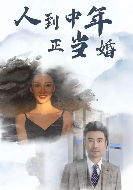 《人到中年正当婚》：中年爱情那些事儿，婚姻围城里的真实写照？